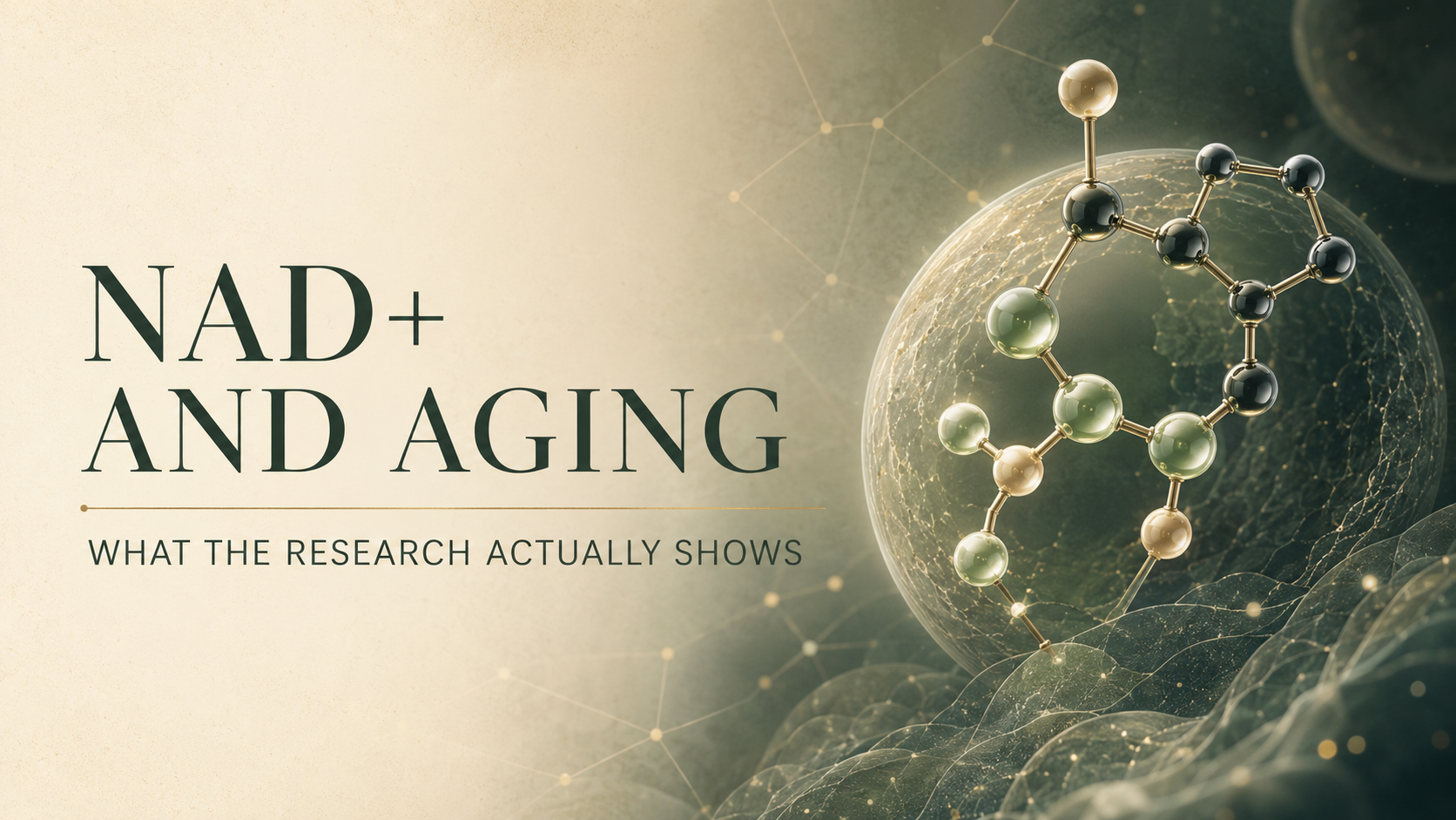 EP 03: NAD+ Hype—The Science Behind Longevity Pills