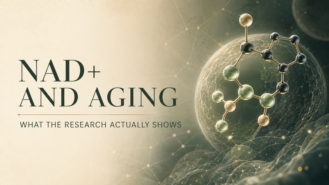 EP 03: NAD+ Hype—The Science Behind Longevity Pills