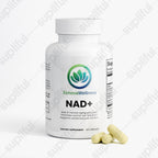 Zenova Wellness NAD+ Capsules – With Quercetin & Resveratrol, 60 Count