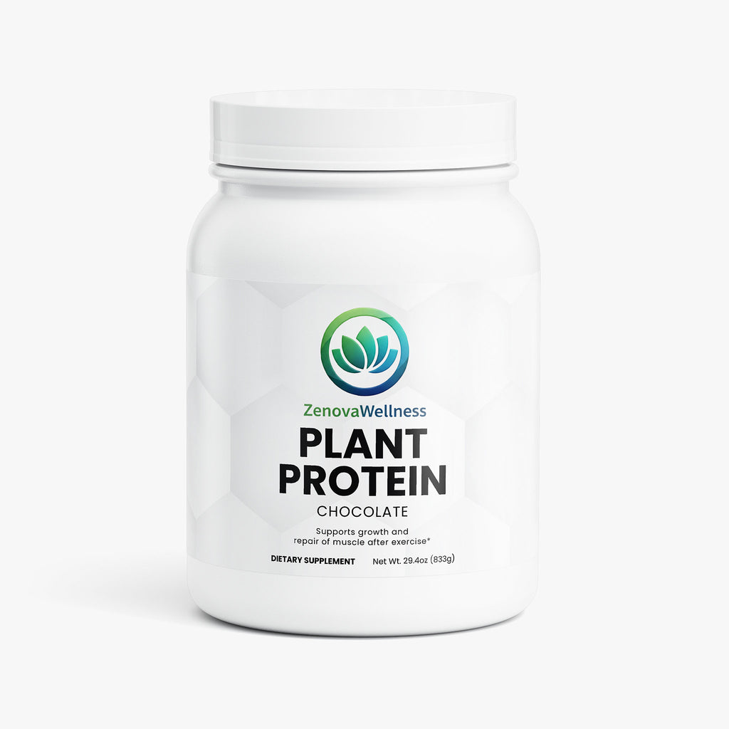 Zenova Wellness Chocolate Plant Protein Powder