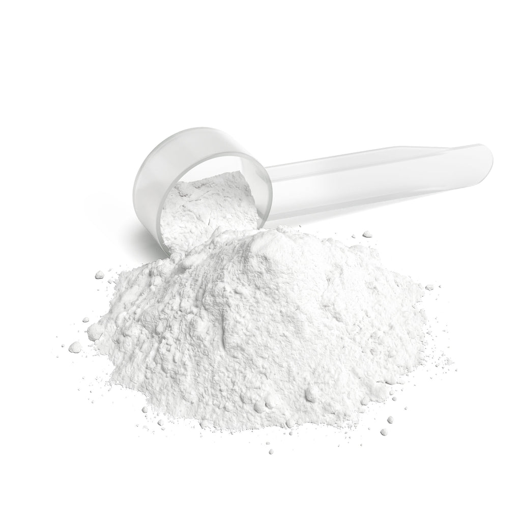 Zenova Wellness L-Glutamine Powder