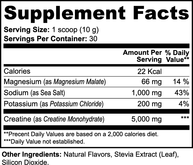 Zenova Wellness Creatine Hydration Powder – With Electrolytes, Daily Workout Support